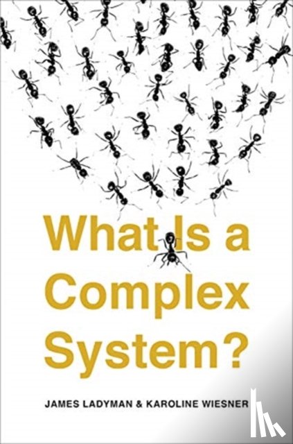Ladyman, James, Wiesner, Karoline - What Is a Complex System?