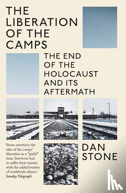 Stone, Dan - The Liberation of the Camps