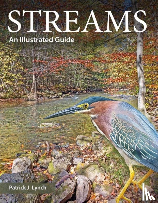 Lynch, Patrick J. - Streams
