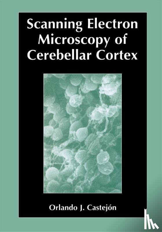 Castejon, Orlando - Scanning Electron Microscopy of Cerebellar Cortex