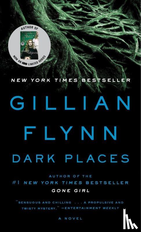 Gillian Flynn - Dark Places