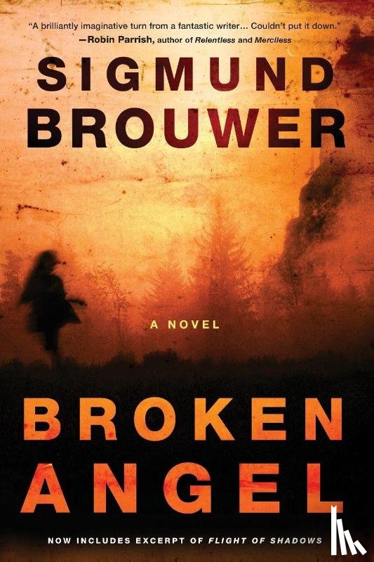 Brouwer, Sigmund - Broken Angel