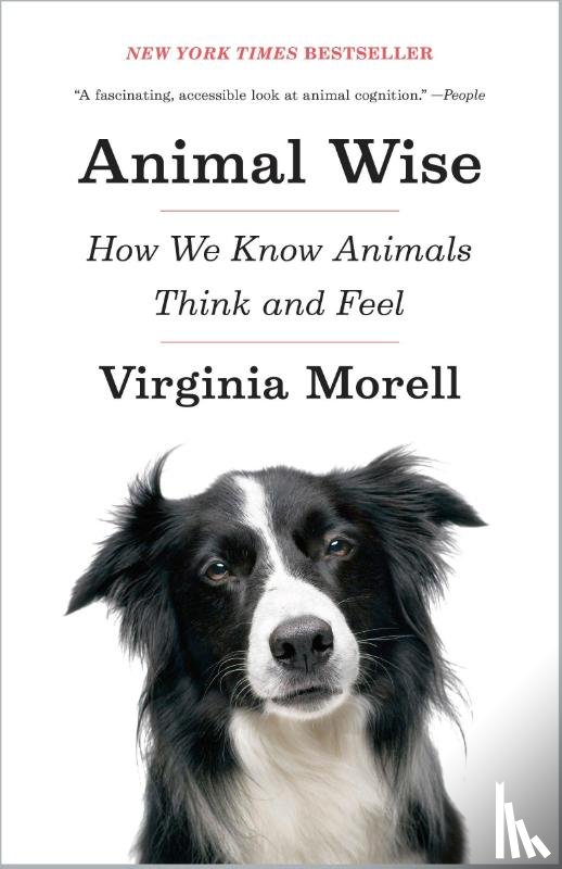 Morell, Virginia - Animal Wise