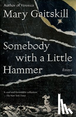 Gaitskill, Mary - Somebody with a Little Hammer