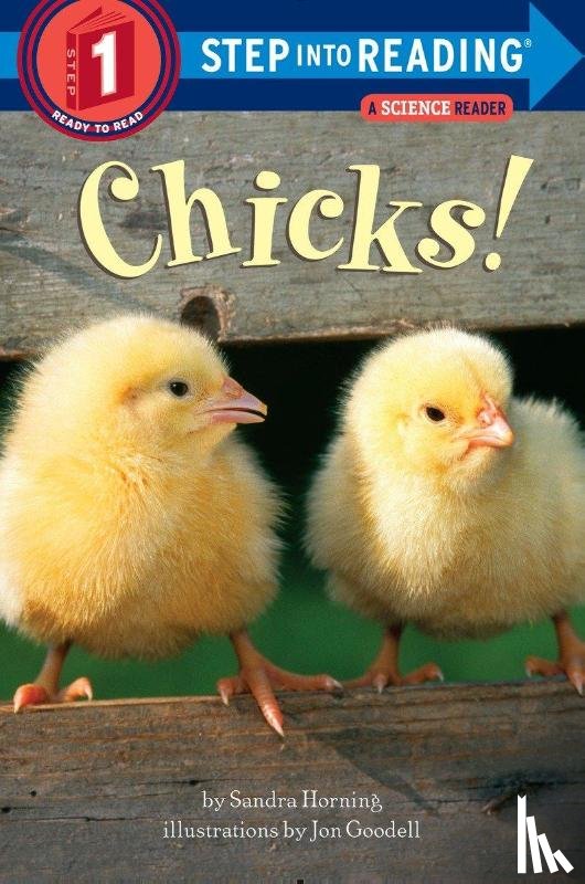 Horning, Sandra - Chicks!