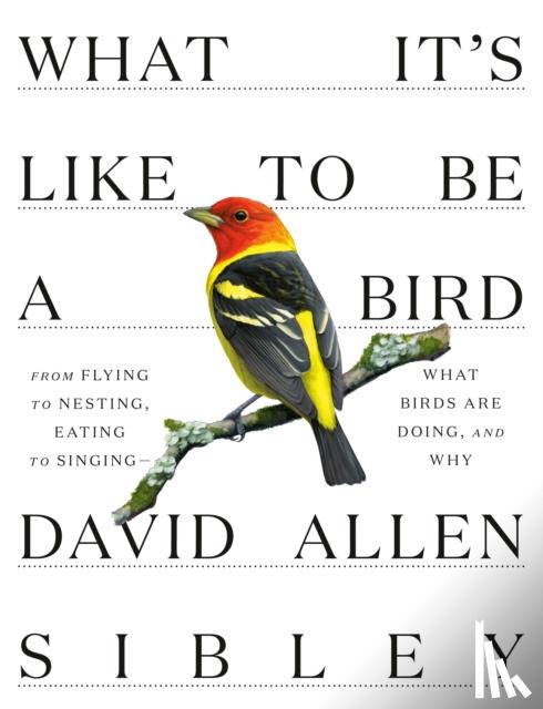 Sibley, David Allen - What It's Like to be a Bird