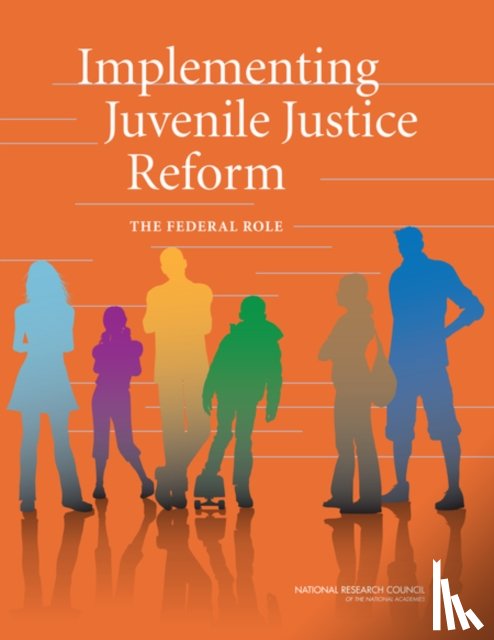 National Research Council, Division of Behavioral and Social Sciences and Education, Committee on Law and Justice, Committee on a Prioritized Plan to Implement a Developmental Approach in Juvenile Justice Reform - Implementing Juvenile Justice Reform
