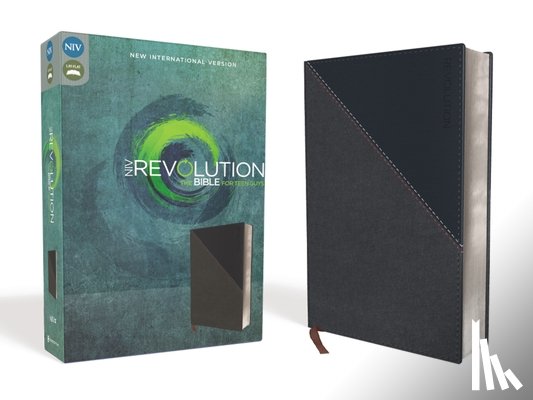 Livingstone Corporation - NIV REVOLUTION BIBLE IMIT GRAY
