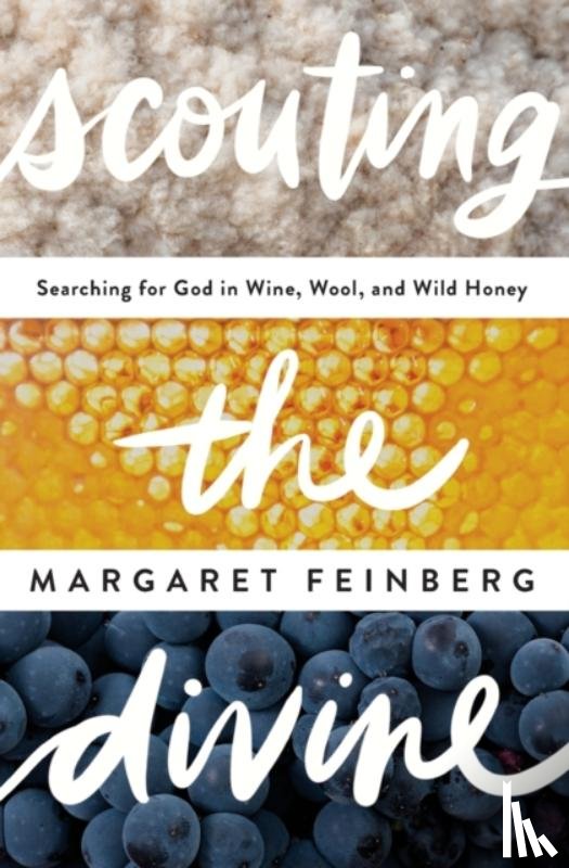 Feinberg, Margaret - Scouting the Divine