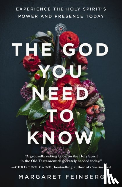 Feinberg, Margaret - The God You Need to Know