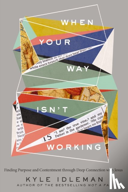 Idleman, Kyle - When Your Way Isn't Working