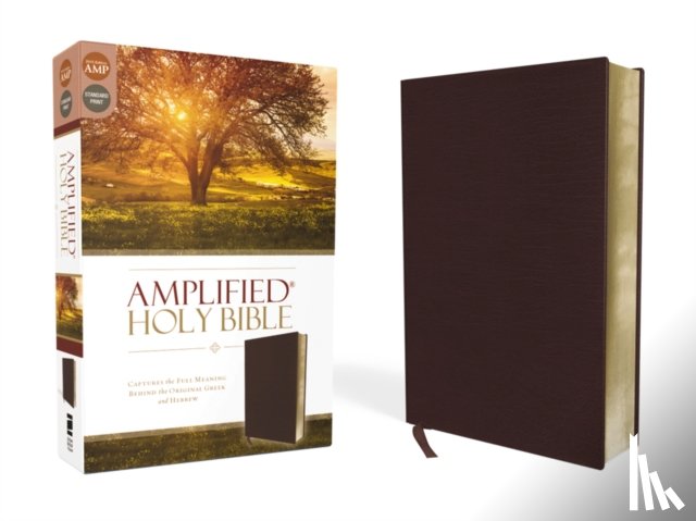 Zondervan - Amplified Holy Bible, Bonded Leather, Burgundy