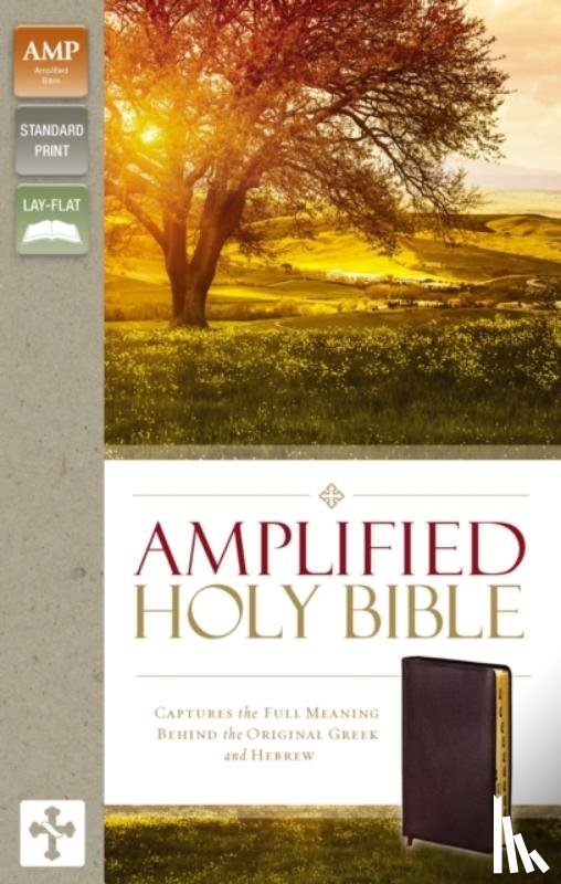 Zondervan - Amplified Holy Bible, Bonded Leather, Burgundy, Thumb Indexed