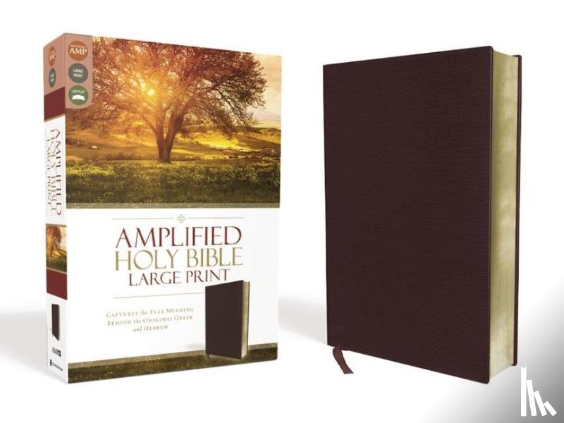 Zondervan - Amplified Holy Bible, Large Print, Bonded Leather, Burgundy