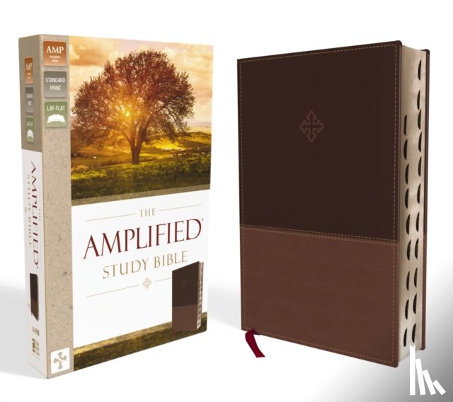 Zondervan - The Amplified Study Bible, Leathersoft, Brown, Thumb Indexed