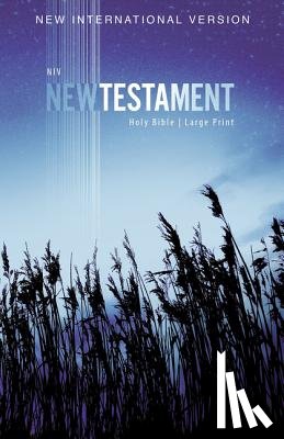 Zondervan - NIV, Outreach New Testament, Large Print, Paperback