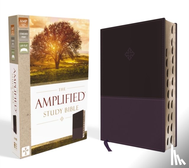 Zondervan - The Amplified Study Bible, Leathersoft, Purple, Thumb Indexed