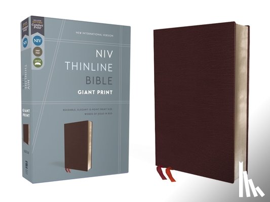 Zondervan - NIV, Thinline Bible, Giant Print, Bonded Leather, Burgundy, Red Letter Edition