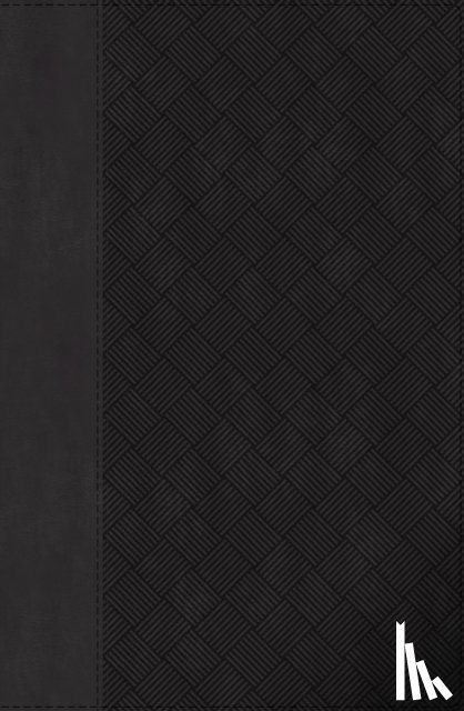 Zondervan - Niv, Thinline Bible, Compact, Leathersoft, Black/Gray, Red Letter, Comfort Print