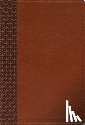 Zondervan - Amplified Holy Bible, Large Print, Leathersoft, Brown