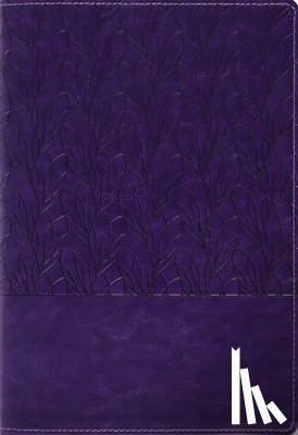Zondervan - Amplified Holy Bible, Large Print, Leathersoft, Purple