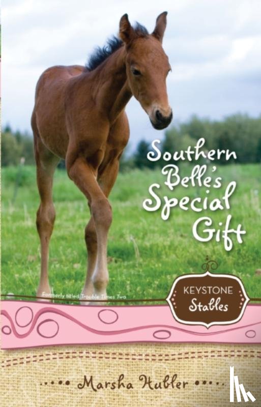 Hubler, Marsha - Southern Belle's Special Gift