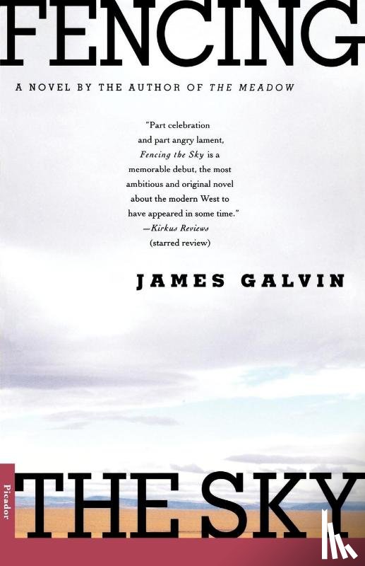 Galvin, James - Fencing the Sky