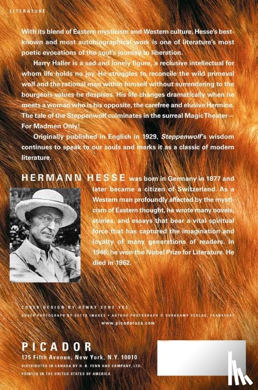 Hesse, Hermann - Steppenwolf