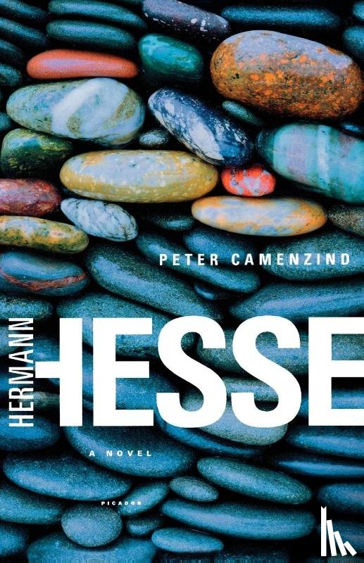 Hermann Hesse, Michael Roloff - Peter Camenzind