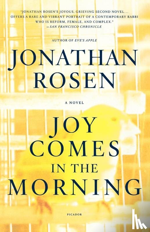 Rosen, Jonathan - Joy Comes in the Morning