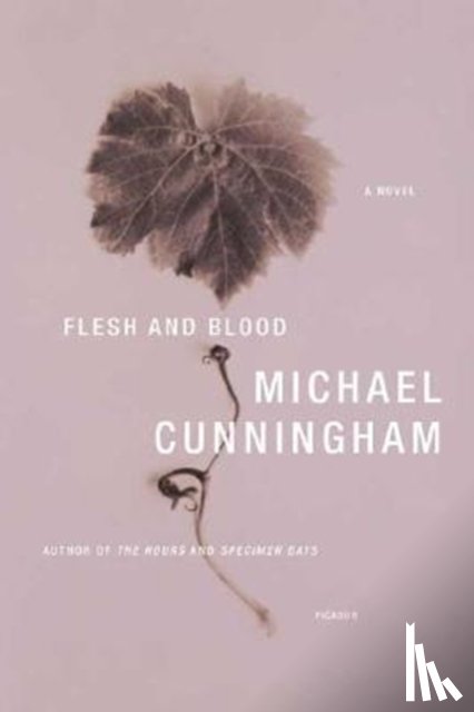 Cunningham, Michael - Flesh and Blood