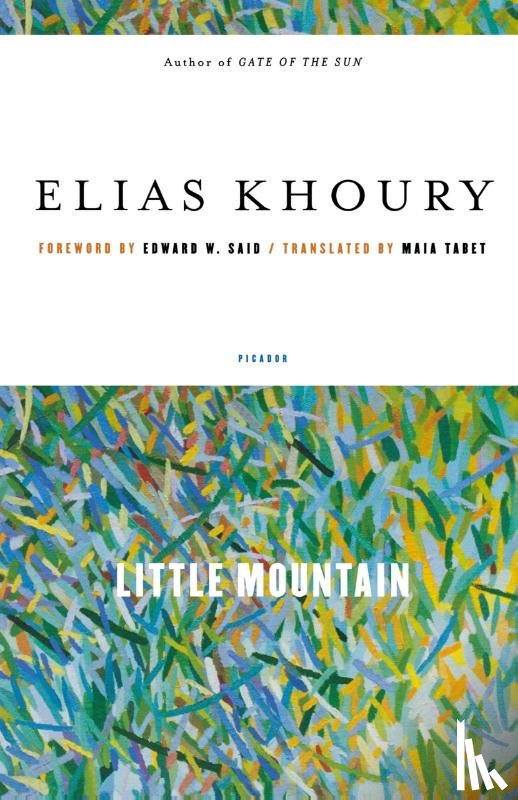 Khoury, Elias - Little Mountain