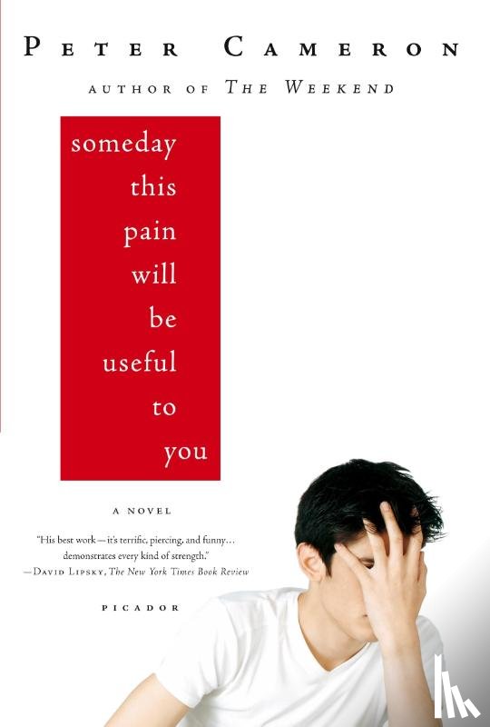 Cameron, Peter - Someday This Pain Will Be Useful to You