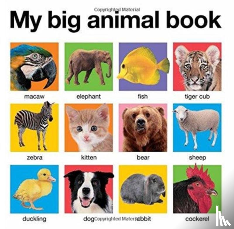 Priddy, Roger - My Big Animal Book