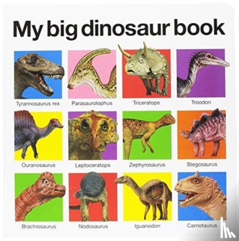 Priddy Bicknell Books - My Big Dinosaur Book