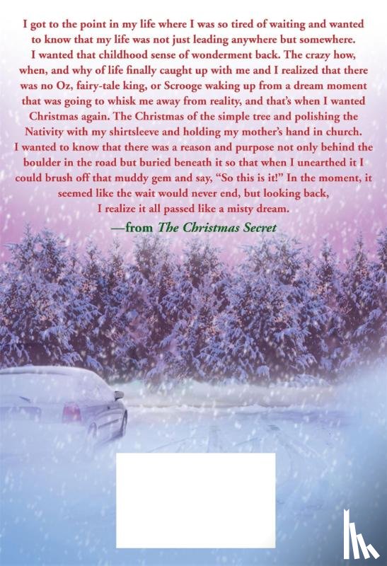 VanLiere, Donna - The Christmas Secret