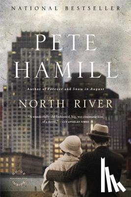 MR Pete Hamill - North River