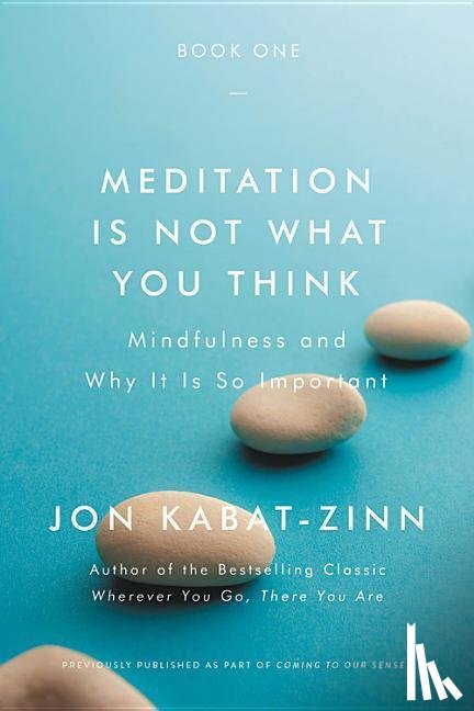 Kabat-Zinn, Jon - MEDITATION IS NOT WHAT YOU THI