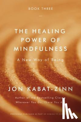Kabat-Zinn, Jon - Healing Power of Mindfulness