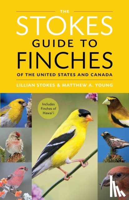 Stokes, Lillian, Young, Matthew A. - The Stokes Guide to Finches of the United States and Canada