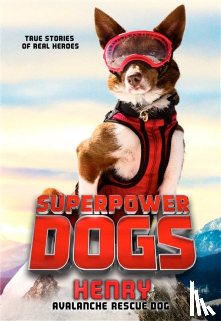 Picture, Cosmic - Superpower Dogs: Henry