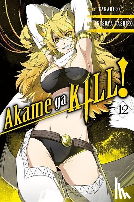Dashiell, Christine, US, Hachette, Takahiro, Takahiro, Tashiro, Tetsuya - Akame ga KILL!, Vol. 12