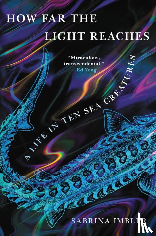 Imbler, Sabrina - Imbler, S: How Far the Light Reaches