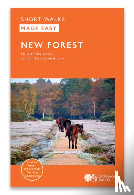  - New Forest