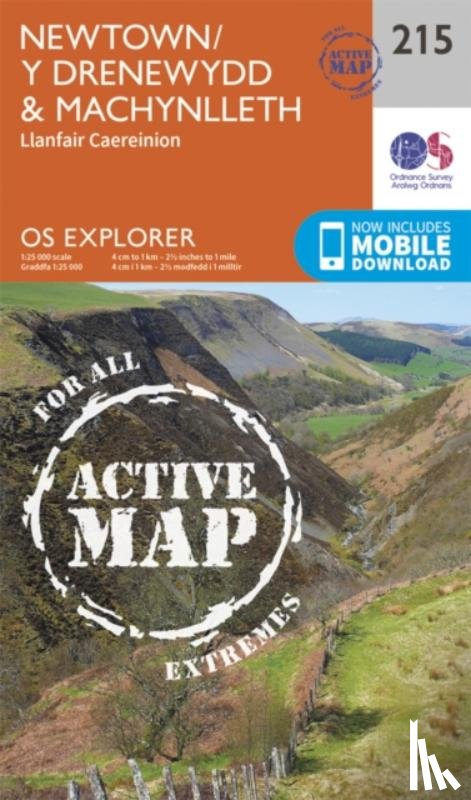 Ordnance Survey - Newtown, Llanfair Caereinion