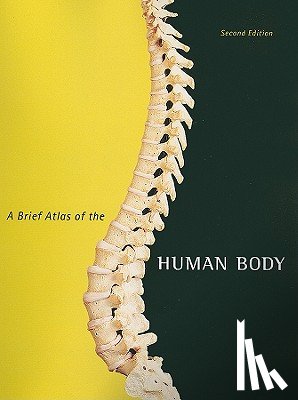 Hutchinson, Matt, Mallatt, Jon, Marieb, Elaine, Wilhelm, Patricia - Brief Atlas of the Human Body, A