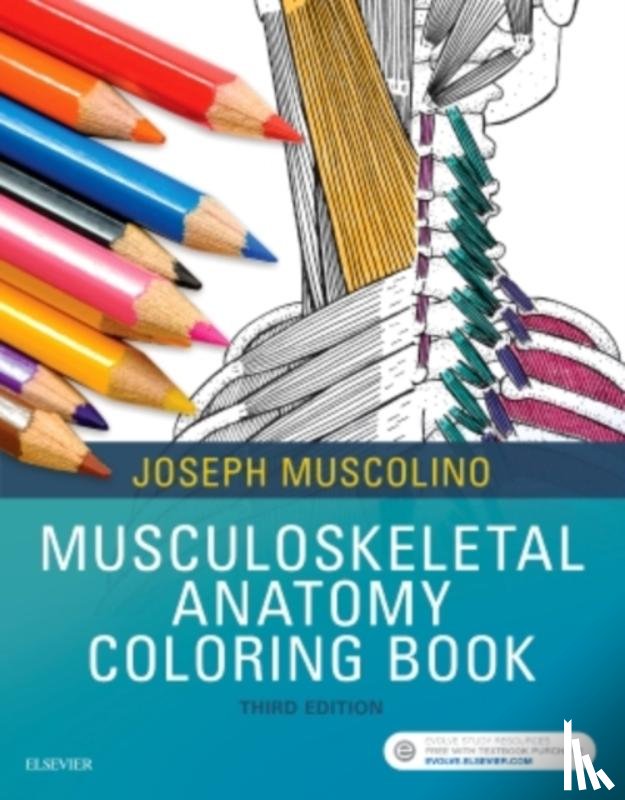 Muscolino, Joseph E. (Instructor, Purchase College, State University of New York, Purchase, New York; Owner, The Art and Science of Kinesiology, Redding, Connecticut) - Musculoskeletal Anatomy Coloring Book