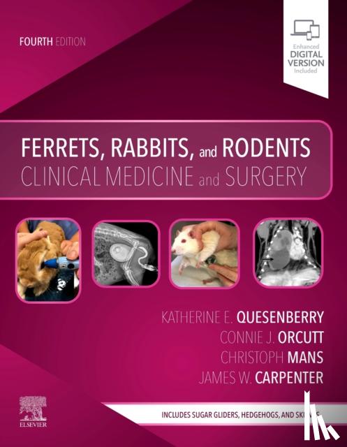 Quesenberry, Katherine (Diplomate, American Board of Veterinary Practitioners (Avian Practice), Service Head, Avian and Exotic Pet Medicine, The Animal Medical Center, New York, NY), Orcutt, Connie - Ferrets, Rabbits, and Rodents