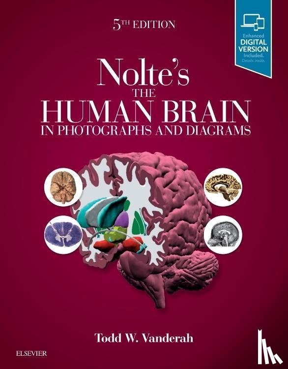 Vanderah, Todd W. - Nolte's The Human Brain in Photographs and Diagrams