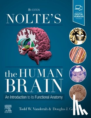 Vanderah, Todd W., Gould, Douglas J. (Distinguished Professor and Chair - Nolte's The Human Brain